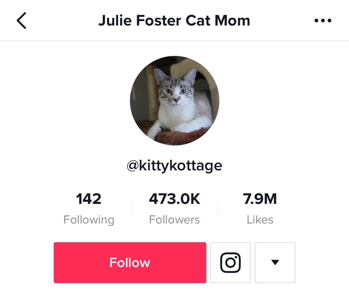 Using cat tiktok hashtags on your profile